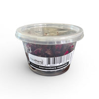 Tissue Culture Cup Alternanthera rosaefolia