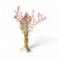 Rotala 'Orange Juice'*