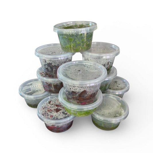 Tissue Culture Pack - 12 Assorted Cups